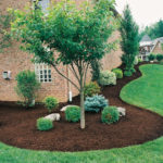 landscaping-beds